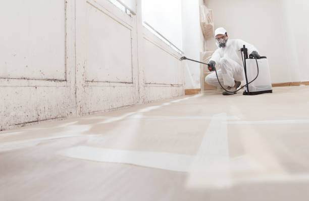 24/7 Emergency Mold Cleanup experts in Katy, TX