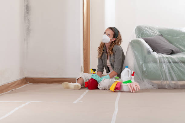 Reliable Mold Cleanup contractor in Katy, TX by WQB Mold Removal